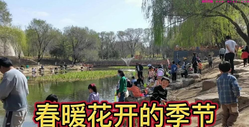 春季野钓也有规律，技巧跟着节气走，不愁鱼不上钩(图3)