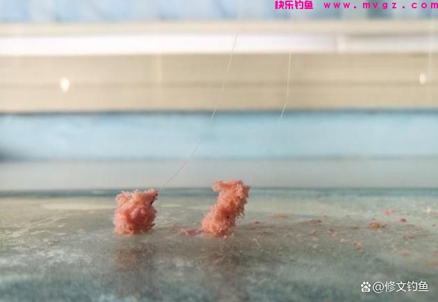台钓中最常见的钓法有哪些？怎么操作又分别应对什么鱼情？(图2)