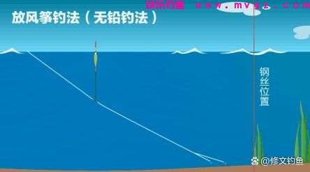 台钓中最常见的钓法有哪些？怎么操作又分别应对什么鱼情？(图9)