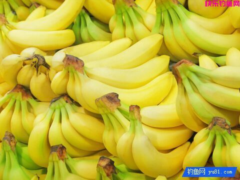这些奇葩饵料你听过吗？效果好的很(图2)