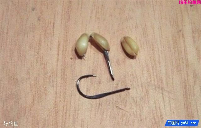超神奇的卡麦钓法你知道吗？附加自制饵料(图2)