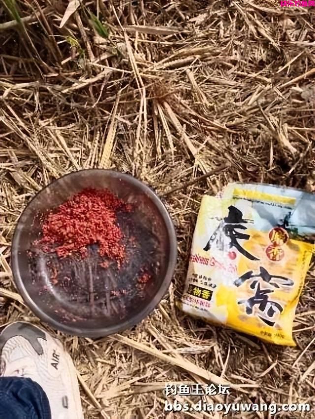 野钓“屁股定律”是无上定律，但还得有好饵料加持(图1)