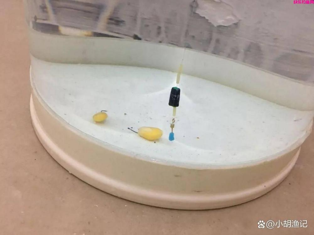 春季钓大鱼，这款天然饵料才是野钓王者！操作简单中鱼率高！(图5)
