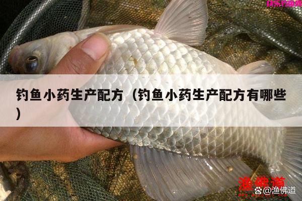 钓鱼小药生产配方（钓鱼小药生产配方有哪些）(图1)
