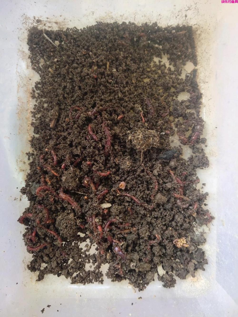 老钓鱼人聊春季阴雨天如何用饵，用对饵料鱼情好到爆护(图8)