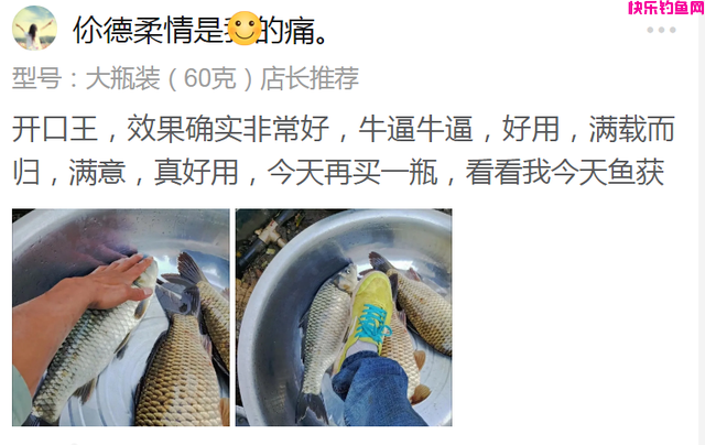钓鲤鱼却遭遇鲢鳙闹窝，如何解决？详解野钓时避开鲢鳙的作钓技巧(图11)