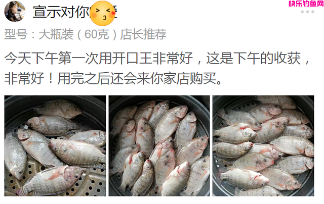 钓鲤鱼却遭遇鲢鳙闹窝，如何解决？详解野钓时避开鲢鳙的作钓技巧(图12)