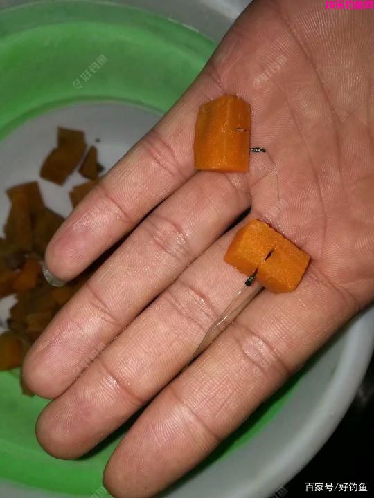 野钓常用好饵料有哪些？推荐的一些饵料，效果经过广大钓友验证(图8)