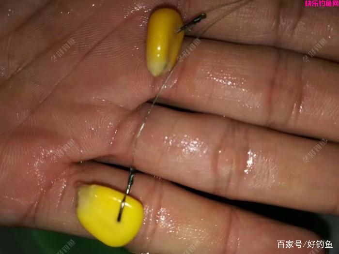 野钓常用好饵料有哪些？推荐的一些饵料，效果经过广大钓友验证(图7)