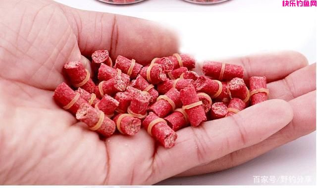 钓鱼：如何选择一款饵料？先从这3个基础认识入手！(图1)