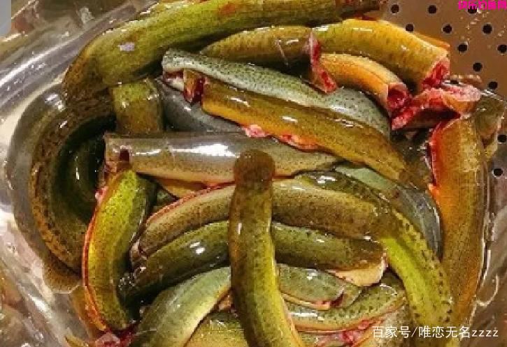真香！野钓用这6种“天然饵”，“零成本”也能连竿到手软(图4)