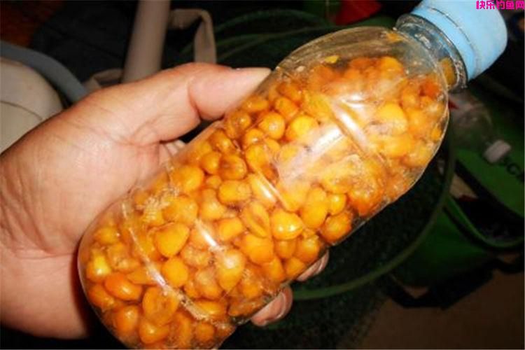 春季钓鲤鱼，4种自制饵料配方，原料环绕，优于商品饵料(图4)