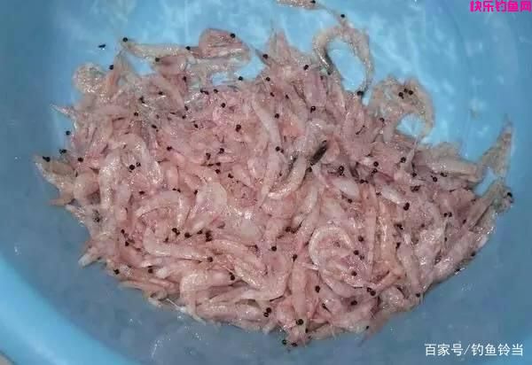 如何用面饵钓鱼？教你如何制作适口的面饵，垂钓渔获肯定不会少！(图6)