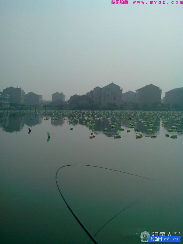 刚细4.5米鱼竿不完全评测(图15)