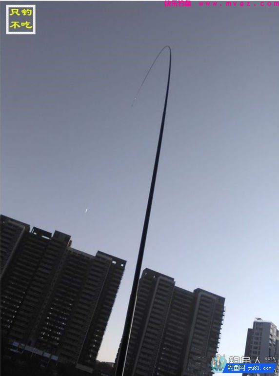 玄风鲤钓竿的详细评测报告(图18)