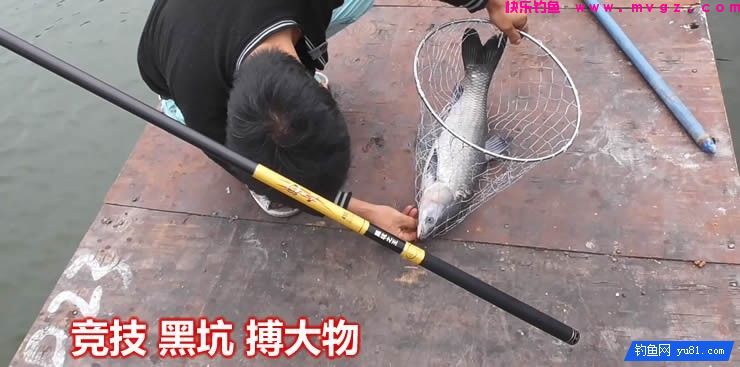 终于找到一款耐操的杆子，再也不蓝瘦了(图5)