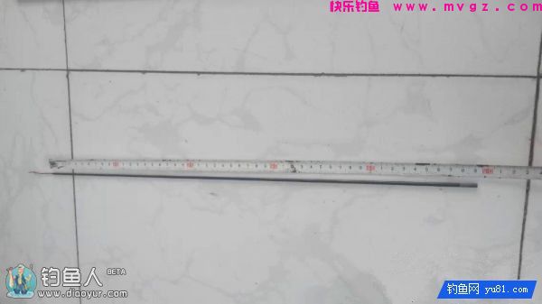 金琥珀3.0米鱼竿的测评(图16)