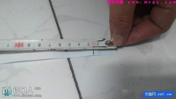 金琥珀3.0米鱼竿的测评(图28)