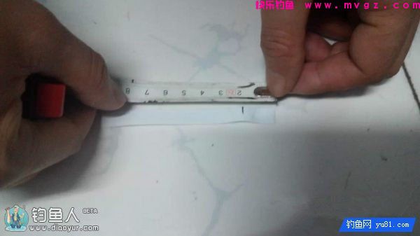 金琥珀3.0米鱼竿的测评(图32)