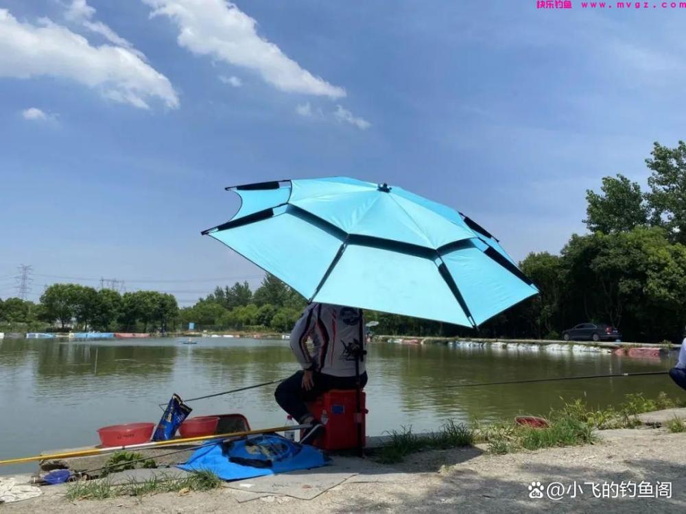 钓草鱼这2种方法才狠！黑坑盘老板必备的技能(图5)