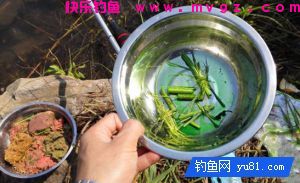 草鱼的饵料选择与打窝技巧(图2)