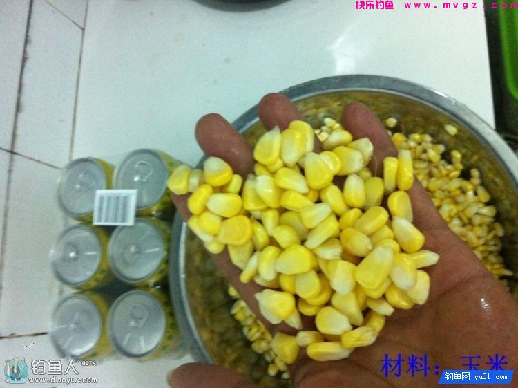 自制钓草鱼的果香玉米饵（图解制作过程）(图3)