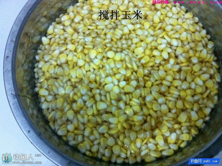 自制钓草鱼的果香玉米饵（图解制作过程）(图8)