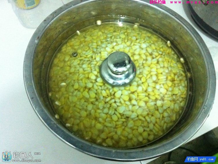 自制钓草鱼的果香玉米饵（图解制作过程）(图9)