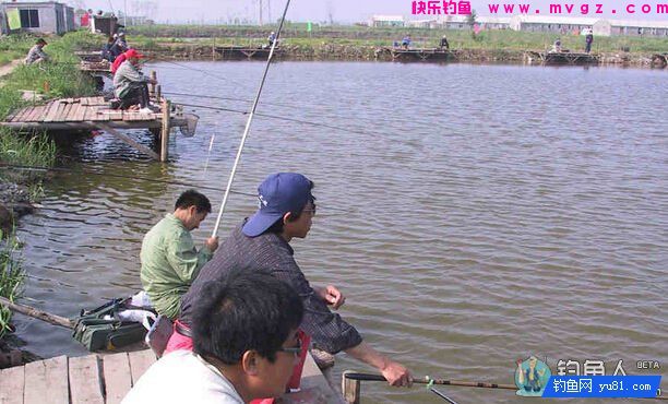 鲫鱼、罗非鱼、草鱼的打窝技巧详解(图1)