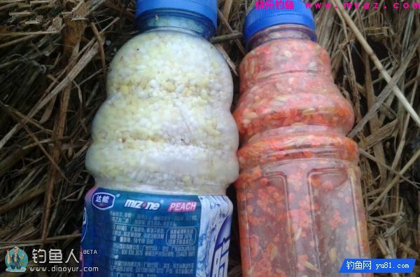 蚯蚓面饵齐上阵鲫鱼鲤鱼草鱼通杀饵配方(图7)