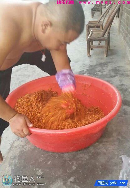 玉米谷子小麦混合窝料（主诱鲫鱼鲤鱼草鱼）(图1)