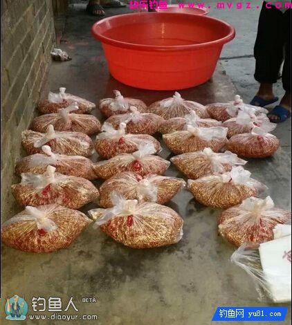 玉米谷子小麦混合窝料（主诱鲫鱼鲤鱼草鱼）(图2)