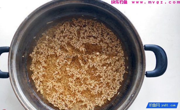 中药麦子包谷钓鲫鱼鲤鱼草鱼饵料(附药酒配方)(图1) 中药麦子包谷钓鲫鱼鲤鱼草鱼饵料(附药酒配方)(图1)