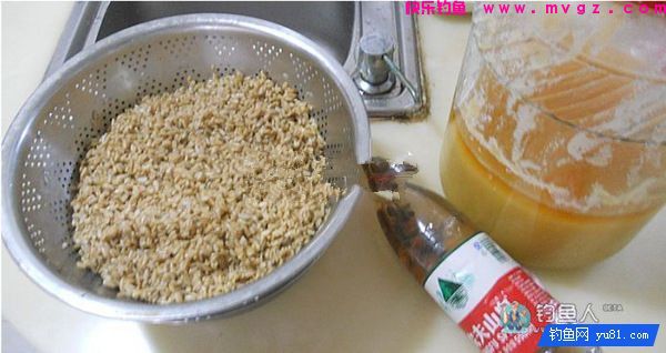 中药麦子包谷钓鲫鱼鲤鱼草鱼饵料(附药酒配方)(图3) 中药麦子包谷钓鲫鱼鲤鱼草鱼饵料(附药酒配方)(图3)