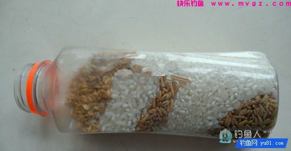 中药麦子包谷钓鲫鱼鲤鱼草鱼饵料(附药酒配方)(图8) 中药麦子包谷钓鲫鱼鲤鱼草鱼饵料(附药酒配方)(图8)