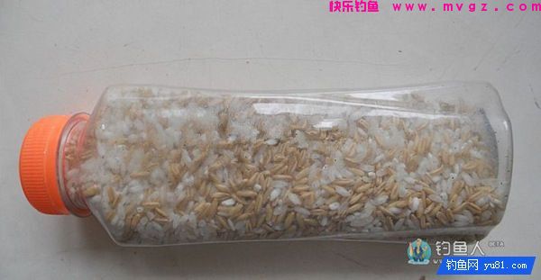 中药麦子包谷钓鲫鱼鲤鱼草鱼饵料(附药酒配方)(图9) 中药麦子包谷钓鲫鱼鲤鱼草鱼饵料(附药酒配方)(图9)