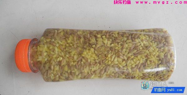 中药麦子包谷钓鲫鱼鲤鱼草鱼饵料(附药酒配方)(图10) 中药麦子包谷钓鲫鱼鲤鱼草鱼饵料(附药酒配方)(图10)