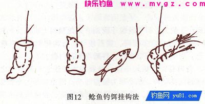 非常全面的淡水鱼类的饵料配方(鲫鲤草鱼鲢鲶罗非)(图1) 非常全面的淡水鱼类的饵料配方(鲫鲤草鱼鲢鲶罗非)(图1)