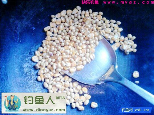 自制诱饵窝料(鲫鱼鲤鱼草鱼通杀)分享(图2)