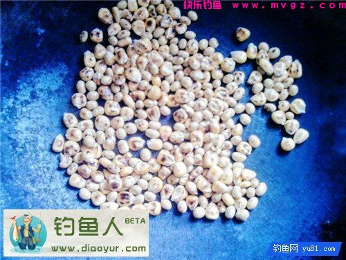自制诱饵窝料(鲫鱼鲤鱼草鱼通杀)分享(图3)