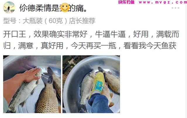 教你冬季如何钓到更多的草鱼(图8)