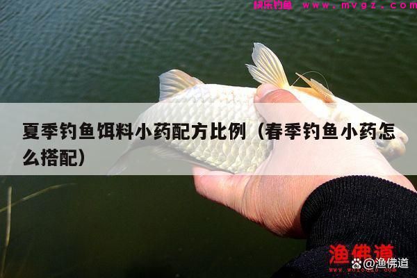 夏季钓鱼饵料小药配方比例（春季钓鱼小药怎么搭配）(图1)