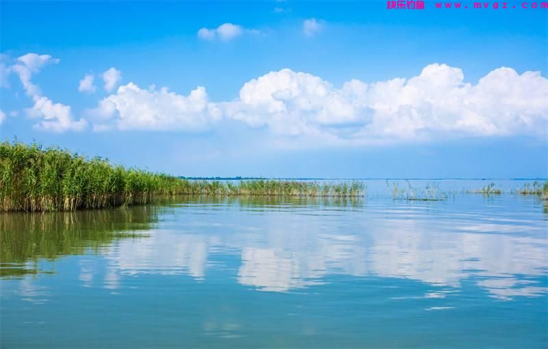 洪泽湖退水出现砖块和绳索，网友疑似拋沉尸骨，却是钓鱼人打窝？(图6)
