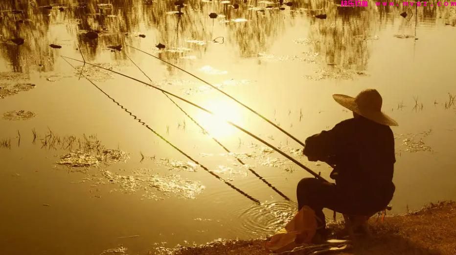 秋季野钓草鱼,如何用饵、选钓位?(图5) 秋季野钓草鱼,如何用饵、选钓位?(图5)