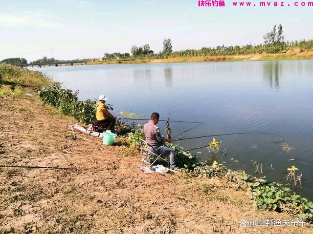 秋季如何垂钓草鱼？注意这三个方面，渔获差不了(图1)