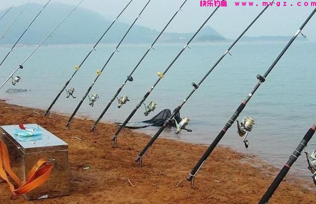 草鱼开口了！夏季钓草鱼，钓浮还是钓底？如何做个湖冠(图7)