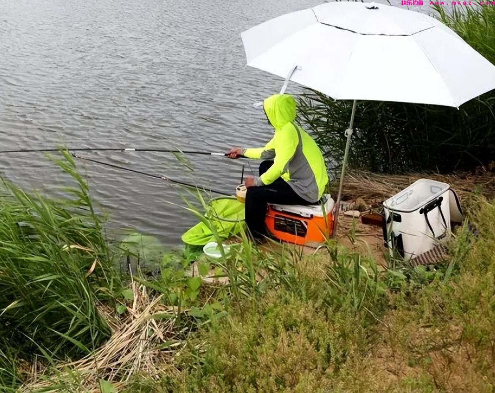 夏钓草鱼有诀窍，4个“秘诀”要知道，只要水里有鱼就不怕钓不到(图3)
