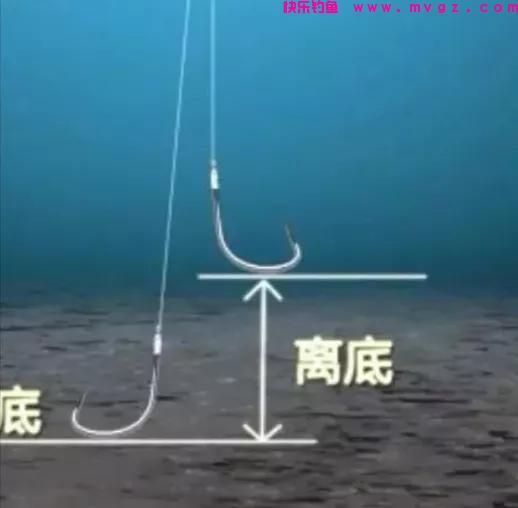 野钓草鱼时，浮漂加粗目可以参与调漂，4个要点实现精确调钓(图1)