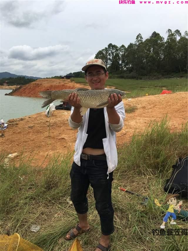 初夏钓草鱼攻略,成本有点儿大,但草鱼确实好吃(图1) 初夏钓草鱼攻略,成本有点儿大,但草鱼确实好吃(图1)