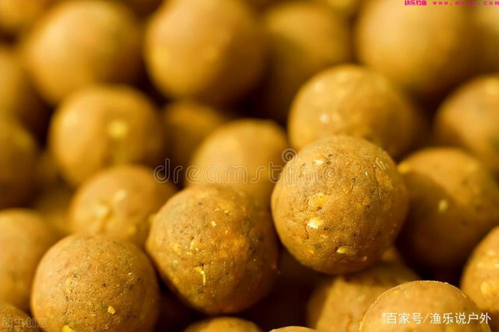 夏季钓草鱼的技巧详解钓具、钓饵、钓点、钓法(图5) 夏季钓草鱼的技巧详解钓具、钓饵、钓点、钓法(图5)